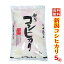 あす楽☆本日セール中☆五ツ星お米マイスター厳選米 令和5年産 新潟県産 コシヒカリ 5kg 白米 精米 （食味分析80点以上の精米仕立て発送） 新潟産 コシヒカリ こしひかり お米 新潟 米 新潟 コシヒカリ 新潟 お土産 産地直送 低温倉庫管理米