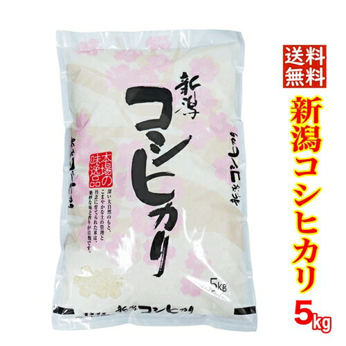 [商品価格に関しましては、リンクが作成された時点と現時点で情報が変更されている場合がございます。]