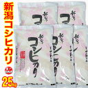 新米特価【1等米】令和元年産 新潟産 コシヒカリ 25kg （5kgx5）（産地直送米）白米 新潟産 こしひかり　新潟県産 コシヒカリ 新潟県産 コシヒカリ 新潟 コシヒカリ 新米 令和元年 新米令和元年 新潟 お土産 お誕生日 ギフト