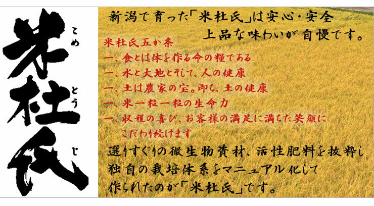 令和3年産 魚沼産 棚田米 コシヒカリ 10kg (5kg×2) 送料無料【特A1等米使用 米杜氏ブランド】 新潟 極上 白米 魚沼産 魚沼 新潟産こしひかり 新潟お土産 新潟産 コシヒカリ 新潟 新潟県産 魚沼産 誕生日 プレゼント 新潟三大コシヒカリ