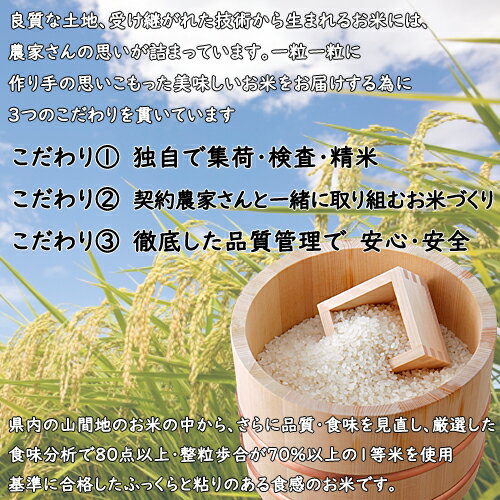 ★本日セール中★送料無料（1等米）令和3年産 新潟産 コシヒカリ 10kg （5kgx2）白米 精米 ★食味分析80点以上の精米日の新しい産地直送米です★ 新潟 コシヒカリ 新潟県産 コシヒカリ お米 ギフト お米 10キロ お米 送料無料 飲食店 新潟米 お米 あす楽 居酒屋