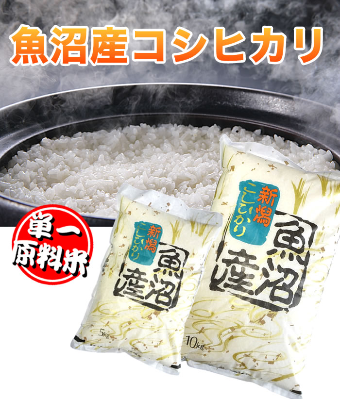 本日特価（特A1等米）令和3年産 新潟 魚沼産 コシヒカリ 5kg 食味分析80点以上 特A地区 白米 精米 お米 ギフト 新潟 コシヒカリ 新潟県産 コシヒカリ 新潟 こしひかり うまい 新潟 お米 ギフト 高級 ギフト お米 あす楽 新潟 お米 新潟米