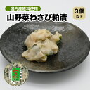 【3個以上ご注文の場合】山菜わさび わさび漬け 長野 山菜 粕漬け 土産 常温 刻み 国産原料
