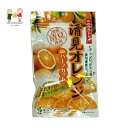 【4個以上ご注文の場合】清見オレンジ ハーフカット 清見オレンジ 国産清見 ドライフルーツ 南信州菓子工房 おやつ ビタミンC