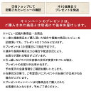 信州りんごたると　大 りんご 林檎 たると タルト 信州りんご 長野 お土産 スイーツ 大人気 3