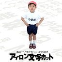 アイロン文字カット 文字タイプ 転写 切り文字 ゼッケン 名札 文字 名札 ステッカー 入園 入学準備特集 文字転写 柔道着 体操着 名入れ 印刷 柔道 剣道 武道 空手 野球 ゼッケンシール チーム 背番号 文字だけ ひらがな 漢字 数字 アルファベット カタカナ ワッペン