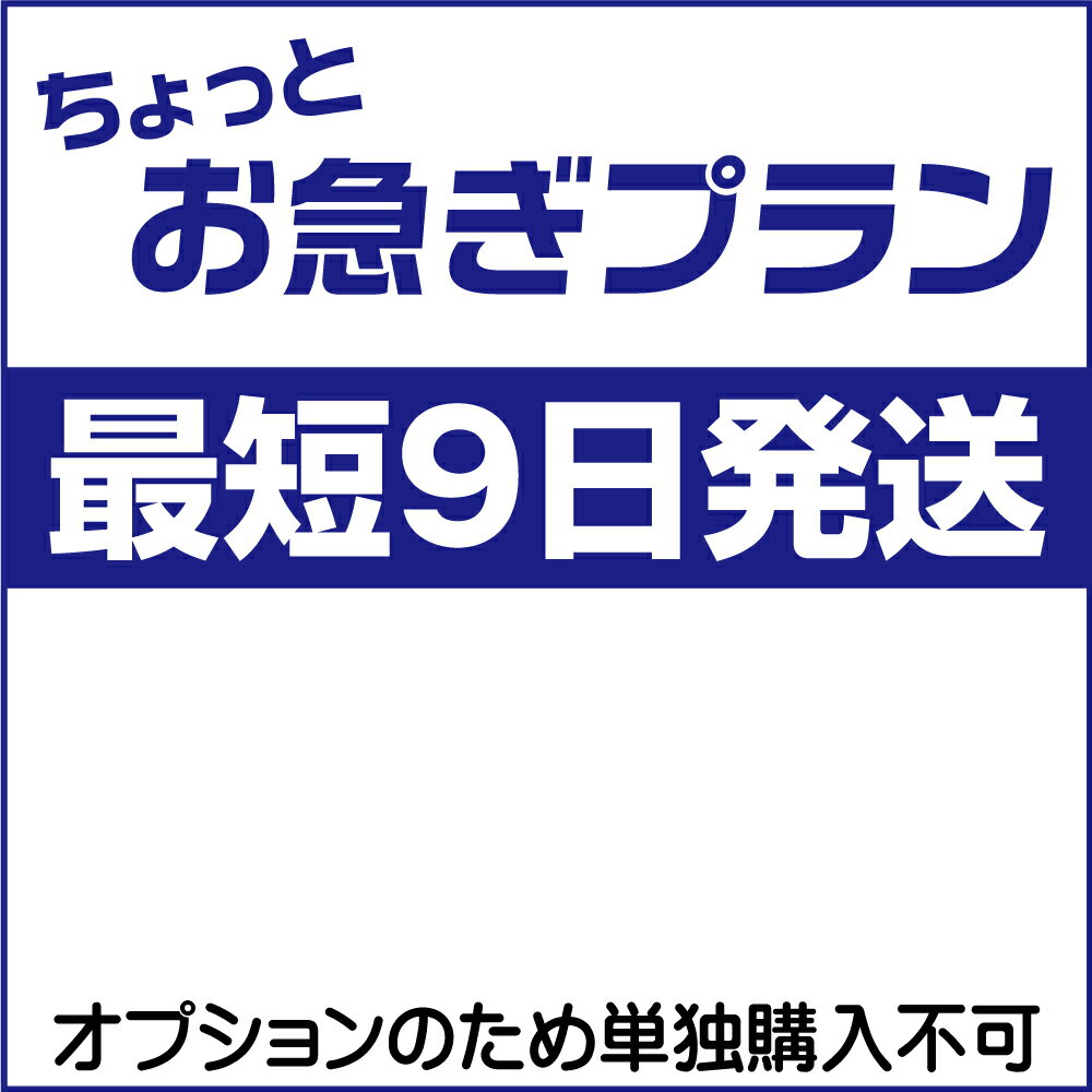 ゼッケン4枚用　ちょっとお急ぎプラン