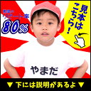 1cm刻みで自由なサイズで作れる ゼッケン 縫い付けタイプ 2枚組 水着もOK 名前印刷 ゼッケンプリントプレス前の事前確認付きで安心 名前 印刷 名入れ 自由サイズ ぬいつけゼッケン 番号入り 英語 布 幼稚園 保育園 運動会 名札 子供 ほつれ 15 20 大きめ 入学準備 体操服 2