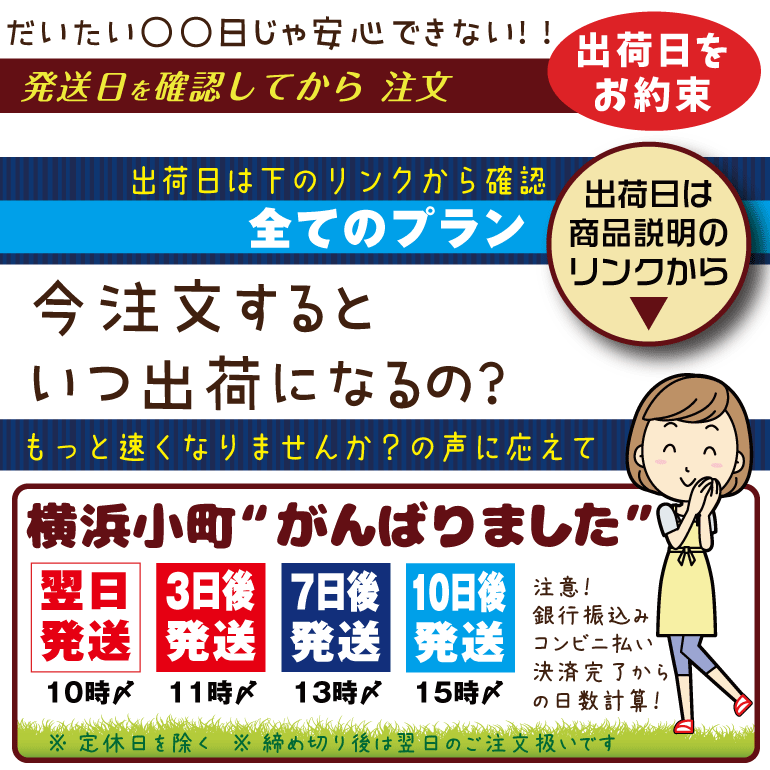 1cm刻みで自由なサイズで作れる ゼッケン 名前印刷 アイロン 貼付けタイプ 2枚組 原稿確認付きで安心 スマホ用説明書＆テスター付き 名前 印刷 名入れ 自由サイズ シール 運動会 番号 布 幼稚園 保育園 名札 名前つけ 枠 貼るだけ 入園 入学準備 15 20 転写 シート オーダー 3