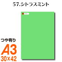 全116色 カッティング用シート A3サイズ 57.シトラスミント 緑 黄緑 グリーン 屋外 表札 切文字 うちわ 文字 車 外装 ステッカー 壁紙 リメイクシート カッティングシート ラッピングシート 自作 キッチン 防水 光沢