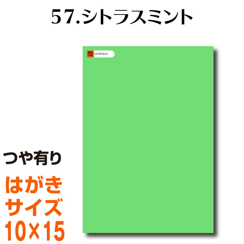 全116色 カッティング用シート はが