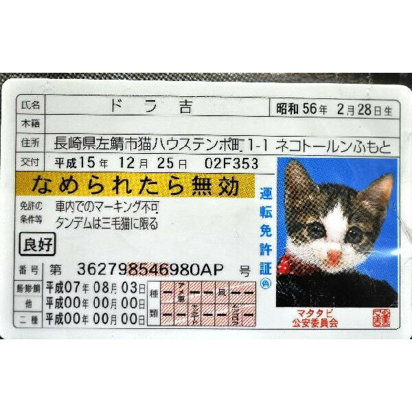 楽天市場 なめんなよ カードコレクション2 20付 2 ゆうパケットorネコポス送料込み 大和屋チャコ楽天市場店