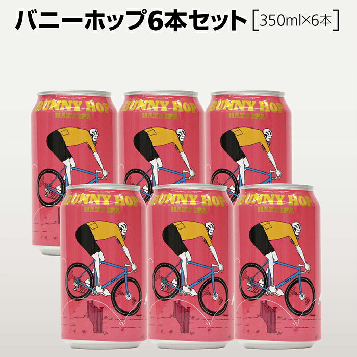 【SALE】バニーホップ6本セット【350ml×6】横浜ベイブルーイング 横浜発のクラフトビール DDHヘイジーIPA