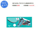 (名入れ1段付き) タオル テニス ミズノ 卒団 記念品 スポーツタオル 卒業 卒部記念品 卒業記念品 フェイスタオル MIZUNO mizuno 名入れ 名前入れ 文字 テニスフェイスタオル 32JYB125