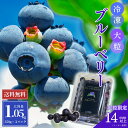 【送料無料】大粒!冷凍ブルーベリー 1.05kg(350g×3パック)大粒 ブルーベリー 冷凍 カナダ カナダ産 ショップチャンネル 高品質 高級 腸活 毎朝 ...