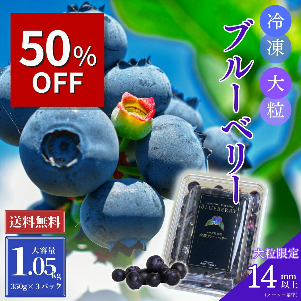 〈スーパーsale 半額〉【送料無料】大粒！冷凍ブルーベリー 1.05kg（350g×3パック）カナ ...