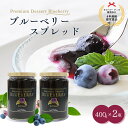 ヨコハマ・グッズ横濱001認定商品 ブルーベリースプレッド 2本箱入800g（400g×2本）ギフト ...