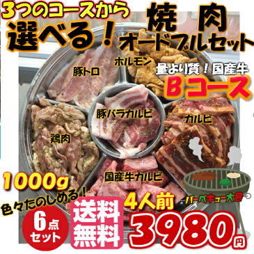 焼肉セット 選べるオードブル セット[ 4人前 1kg〜1.2kg] 《 送料無料 》 オードブル バーベキュー 牛肉 カルビ 豚肉 とんとろ 鳥肉 ホルモン 　 バーベキューセット ギフト 激安 セール 焼肉 BBQ キャンプ 業務用 プロ用 にも 訳あり ではございません