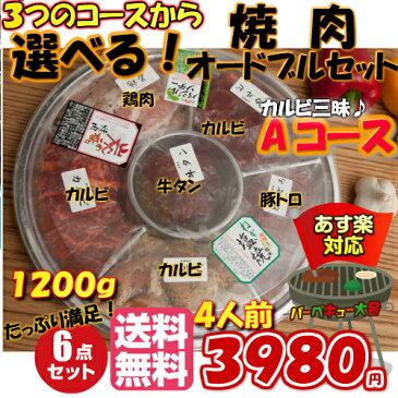 焼肉セット 選べるオードブル セット[ 4人前 1kg〜1.2kg] 《 送料無料 》 オードブル バーベキュー 牛肉 カルビ 豚肉 とんとろ 鳥肉 ホルモン 　 バーベキューセット ギフト 激安 セール 焼肉 BBQ キャンプ 業務用 プロ用 にも 訳あり ではございません