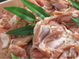 焼肉bbq焼肉セットバーベキューセット内祝御祝母の日父の日キャンプホームパーティーサークルパーティーやきにくセット御礼ゴールデンウィークBBQセール贈り物海海岸夏休みGW旅行おくりものお誕生日バースデープレゼント上質高級