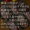 【特上】店長おまかせ A5黒毛和牛 焼肉セット 300g たれ付き ミックス バーベキュー 福袋 詰め合わせ 希少部位 鹿児島 豚 鶏 ソーセージ 業務用 激安 キャンプ アウトドア 2