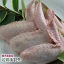 【 国産 鳥肉 鹿児島 】 若鳥 手羽先 [100g] 焼肉 バーベキュー 鍋 唐揚 から揚げ 煮物 用 チキン バーベキューセット 鍋 祝 景品 ギフト 贈答 肉 焼肉 すき焼き しゃぶしゃぶ bbq アウトドア …