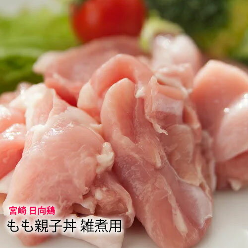 【 国産 鳥肉 日向鶏 】 地養鶏 若鳥 モモ 水炊き 鍋 から揚げ 用 一口 カット　[100g] ...