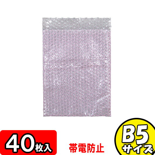 エアパッキン平袋 帯電防止タイプ B5サイズ 三層品 40袋セット【緩衝材セット 緩衝剤 エアクッション エアークッション エアーパッキン エアパッキン エアキャップ エアーパッキン 梱包 袋 店舗用品】 【オークション 発送】