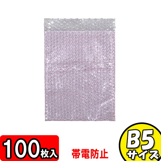 エアパッキン平袋 帯電防止タイプ B5サイズ 三層品 100袋セット【緩衝材セット 緩衝剤 エアクッション エアークッション エアーパッキン エアパッキン エアキャップ エアーパッキン 梱包 袋 店舗用品】 【オークション 発送】