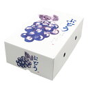 【メーカー直送品につき代引不可】もぎたてのぶどう 2K 内寸300×205×110mm