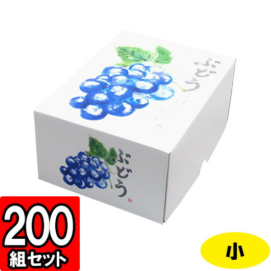 楽天ダンボールの横井パッケージ【メーカー直送品につき代引不可】もぎたてのぶどう 小 200セット 【ぶどう箱 葡萄箱 ぶどう用 葡萄用 ぶどう販売用 葡萄販売用 ぶどうの箱 フルーツ用 フルーツギフト用 果物用 フルーツ箱 果物箱 フルーツ用箱 贈答用 化粧箱 青果】