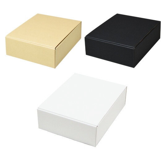 ダンボール N式箱(No.045) 内寸165×205×61mm