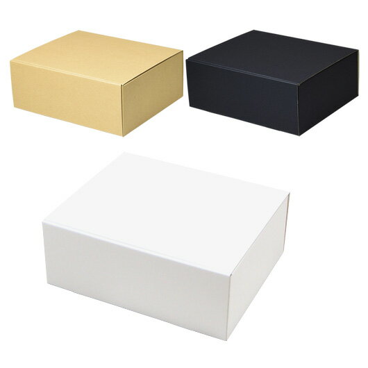 ダンボール N式箱(No.049) 内寸246×200×93mm