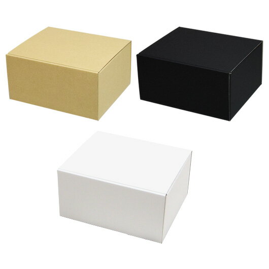 ダンボール N式箱(No.164) 内寸198×163×98mm