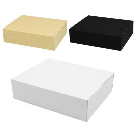 ダンボール N式箱(No.228) 内寸269×211×70mm