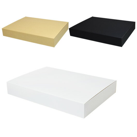 ����ܡ��� N��Ȣ(No.253) ��Ǽ��3�Ķ����� ����530��374��76mm