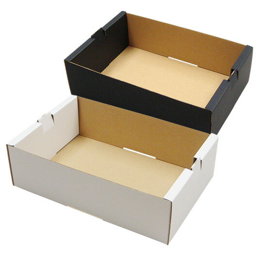 フルーツ 2パック入れ箱 通常版【身のみ】 内寸232×168×74mm