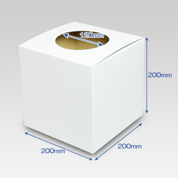 抽選箱(丸穴タイプ) 【白】50枚セット 【抽選ボックス 白 ダンボール 段ボール くじ引き 抽選 景品 抽選会 イベント つかみ取り 箱】