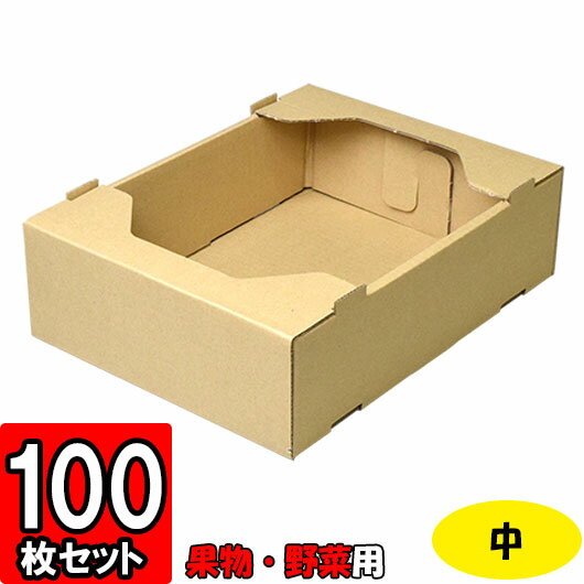 ◇内寸サイズ：290×215×85mm◇重量：150g◇材質：本体BF C5/160/C5※桃2L6個入ります。※翌々日の出荷となります。※こちらの商品は、メーカー直送となりますので、代金引換でのご購入はお受けできませんのでご注意ください。