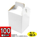 センスのいいフルーツ メロン箱 白つやあり ラージサイズ【1個入れ】【L】 100セット 【メロン用 メロンの箱 フルーツ用 フルーツギフト用 果物用 ギフトボックス 箱 メロン パッケージ フルーツ箱 果物箱 贈答用 化粧箱 青果 gift box】