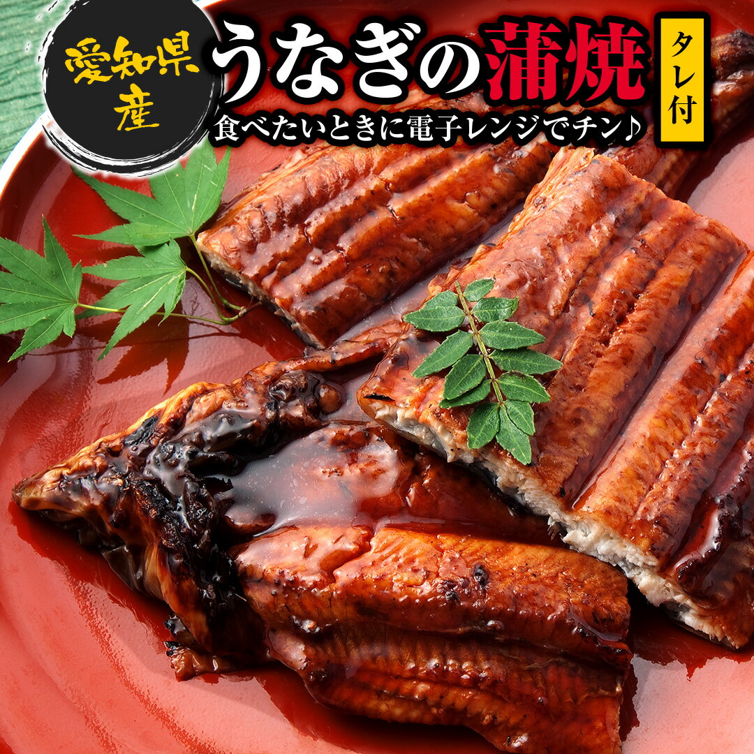 国産 ふわふわ とろとろ 名古屋 超旨い うなぎ 名古屋飯 名古屋めし 名古屋メシ うなぎ 国産 日本産 たれ ウナギ 鰻 高級 蒲焼き うなぎ蒲焼き 贅沢 美味しい 贈答用 内祝い ギフト 取り寄せ 人気 グルメ 手土産 父の日 お中元 お歳暮 敬老の日 長寿祝いのサムネイル