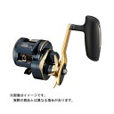 ダイワ 21 ソルティガIC 300HL-SJ (左)
