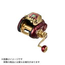 ダイワ 24 シーボーグ G1800M-RJ