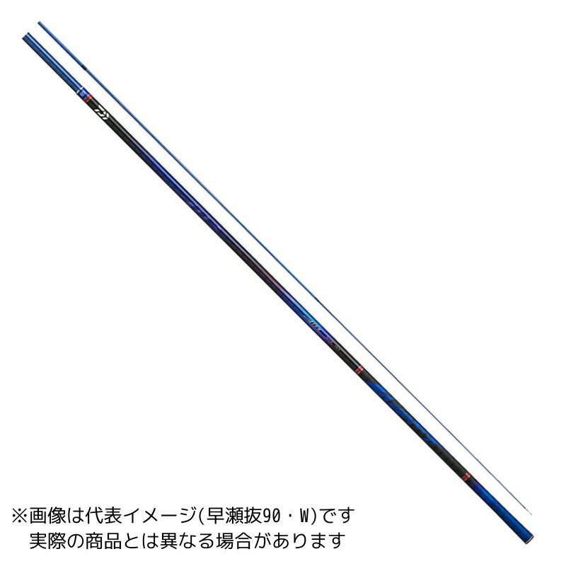 ダイワ 24 銀影エア MT 大鮎 110・W 【大型商品2】