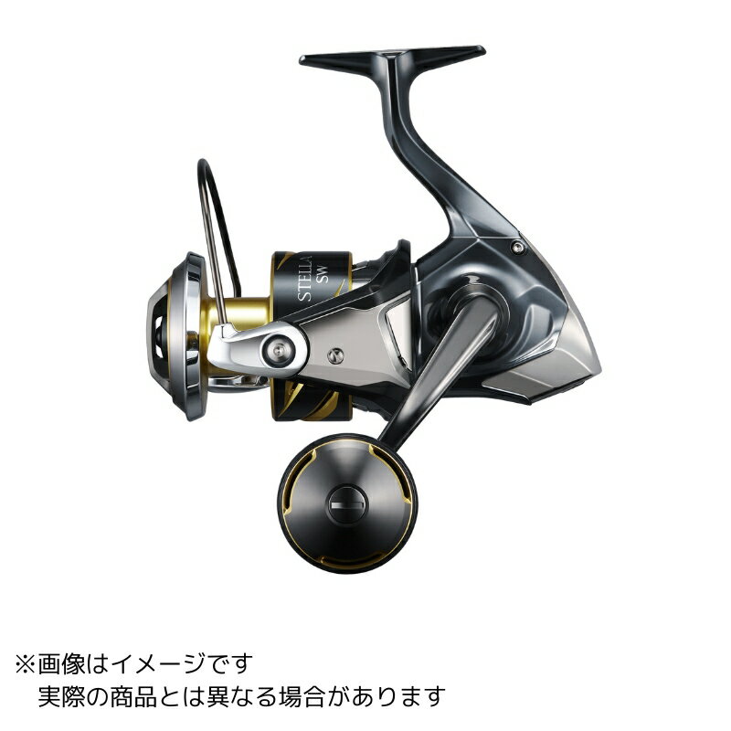 シマノ25ステラSW8000PG