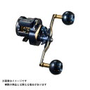 ダイワ 21 ソルティガIC 300L-DH