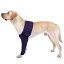 【20%OFFクーポン〜】犬用足サポーター 膝関節 プロテクター 調節可能 ペットサポーター 前足サポ..