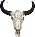 樹脂ロングホーン牛の頭蓋骨 頭の壁掛け装飾品 3D動物野生動物彫刻置物 工芸品の角 家庭用ハロウィーンの飾り物