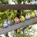 【20%OFFクーポン】ガーデニング ガーデンオーナメント 置物 オブジェ インテリア かわいい 雑貨 樹脂 鳥 とり 動物 アニマル ガーデニング 芝生 装飾 庭の置物 ガーデニング雑貨 タイプ オブジェ フィギュア 写真道具 小鳥 花壇の置物 鳥 ベランダ F 野外