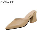 【20%OFFクーポン~】レディース サボ サンダル ポインテッドトゥ 太ヒール 6.5cm 美脚 大きいサイズ 靴 シューズ コンフォート ミュール 前かぶり 抜け感 高見え 夏コーデ 春夏 カジュアル 婦人靴 歩きやすい 痛くない 通勤 小さいサイズ